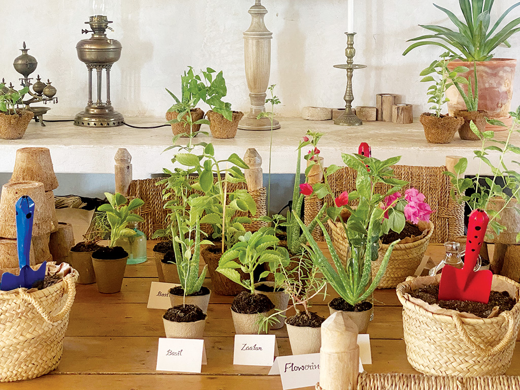  Eco-tourism blossoms at Heenat Salma Farm